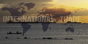 Why use a Letter of Credit in International Trade Transactions