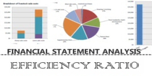 Financial Statement Ratio Analysis - Efficiency Ratios