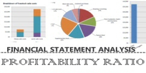 Financial Statement Ratio Analysis - Profitability Ratios